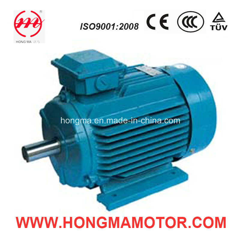 NEMA Three Phase Asynchronous Induction High Efficiency Electric Motor