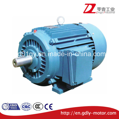 Cast Iron Three-Phase Asynchronous Induction Electric Motor