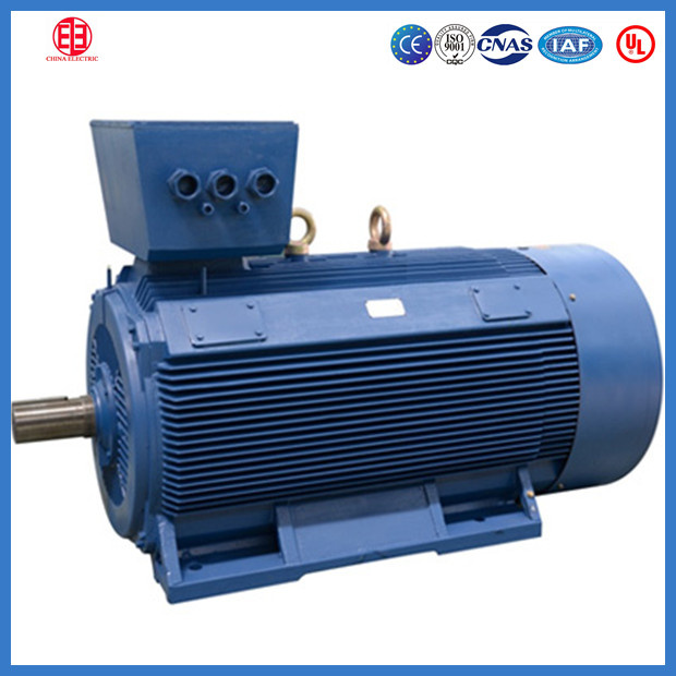 Low Voltage Big Power Three Phase Asynchronous Motor