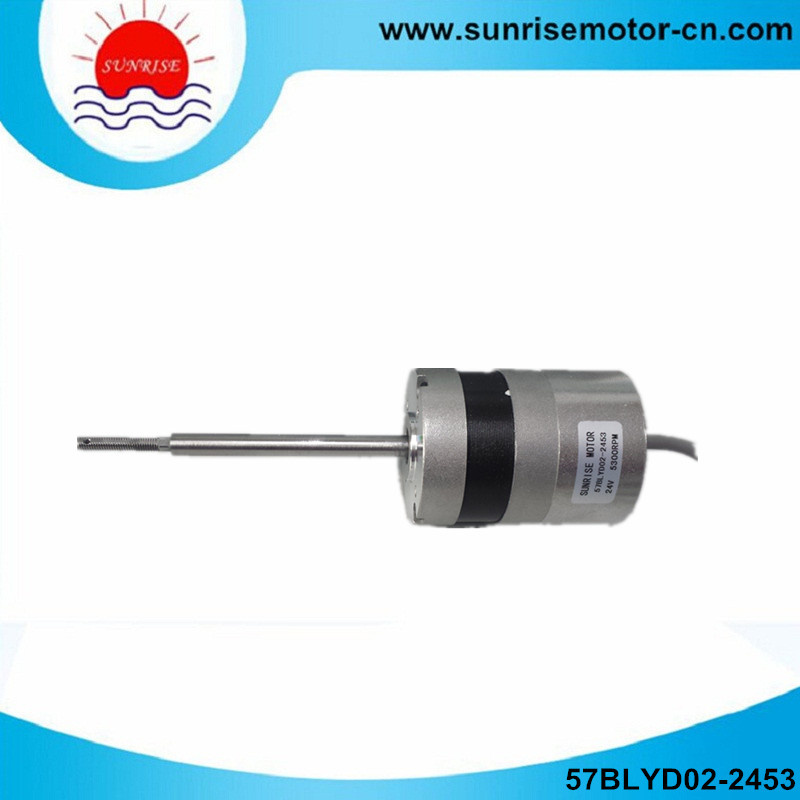 57blyd02-2453 24VDC Built-in Driver DC Motor for Pump