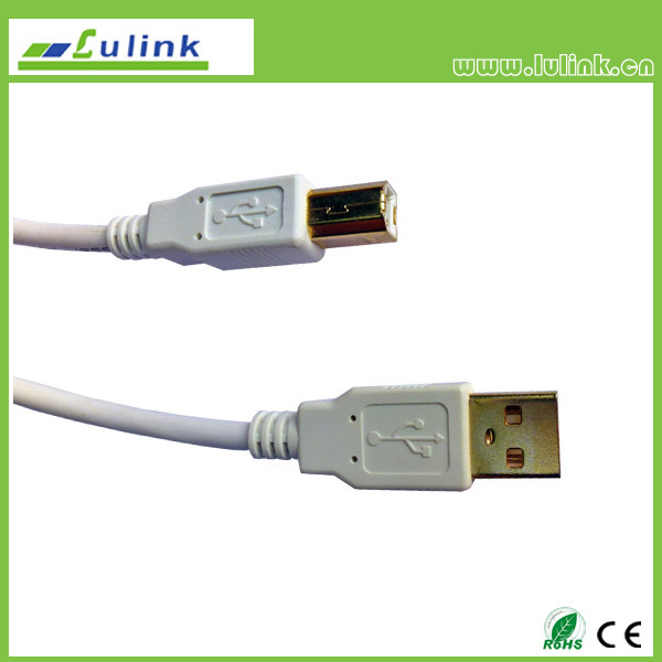 USB 2.0 a Male to USB B Male