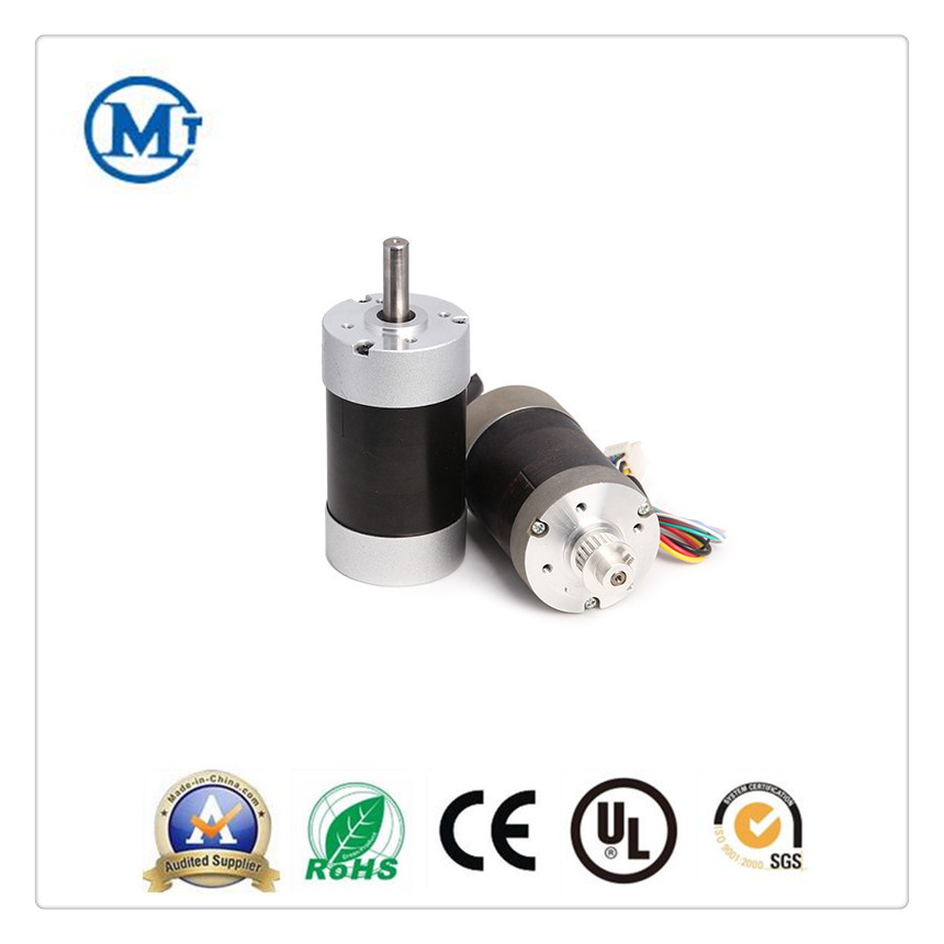24V 36V 48V 60V High Quality Brushless DC Electrical Motor