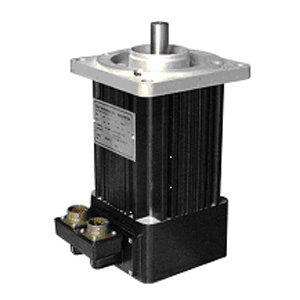 Conventional Middle Inertia AC Brushless Servo Motor (BM90)