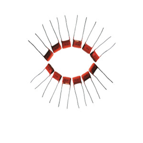 Cbb21 Metallized Polypropylene Film Capacitor with Wire