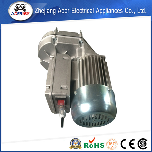 AC Single Phase High Torque Reversible Reducer Electric Motor