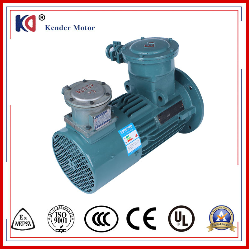 Electric Induction AC Motor with Frequency Conversion
