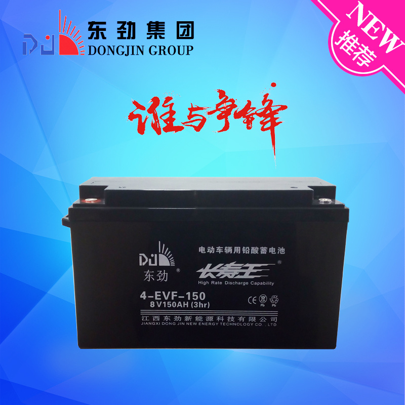 8V150ah High Capacity Rechargeable Car Battery