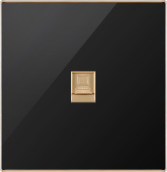 British Standard One Gang Internet/Telephone Socket Flat (N2)