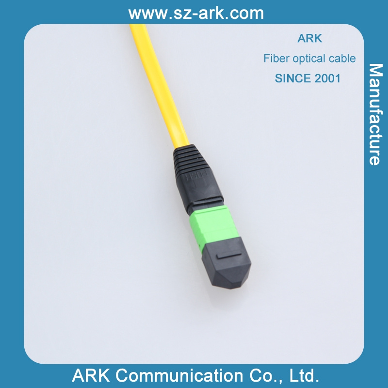 MPO Fiber Optic 24 Core
