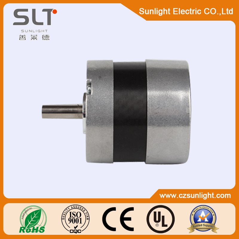 Round or Square BLDC Brushless DC Motor
