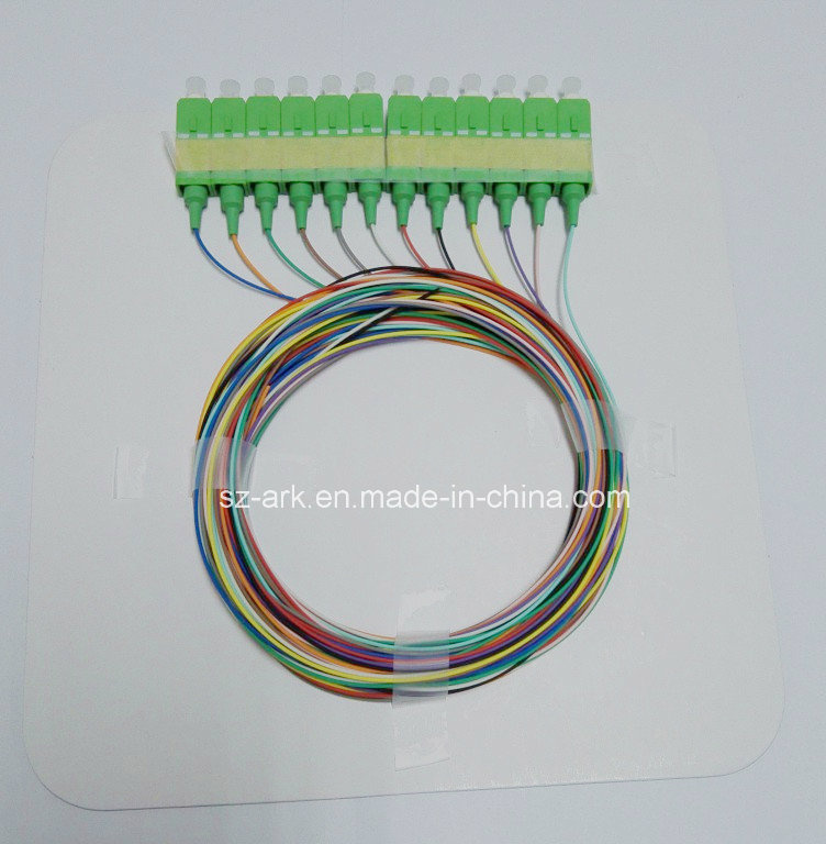 Fiber Optical Patch Cord Sc/APC