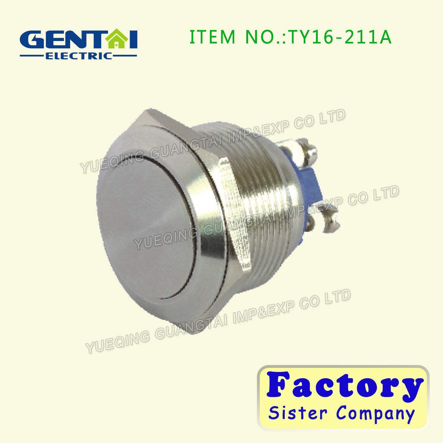 High Quality Flat Screw Type Metal Switch