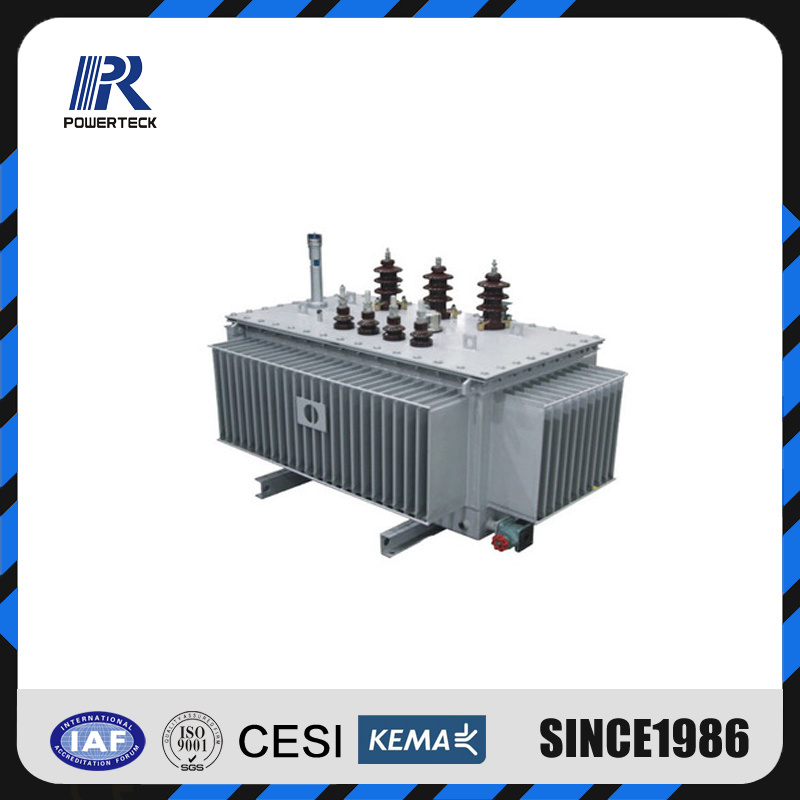 China High Quality Sh15 Wholly Sealed Amorphous Alloy Coil Three Phase Oil Immersed Power Transformer 30~2500kVA