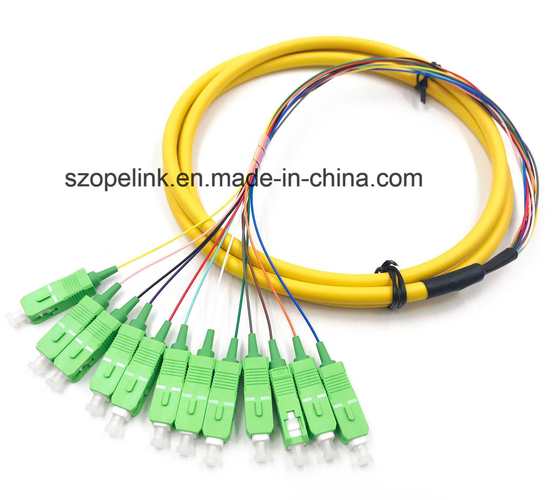 Fiber Optic Patchcord Fiber Connector 12 Core Bundle Pigtail Sc/APC G652D LSZH