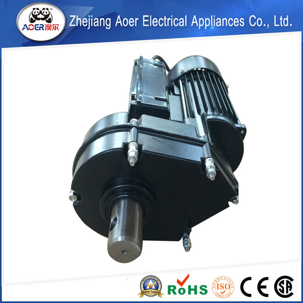 700W Variable Speed Low Rpm Gear Motor (YD8024-2)