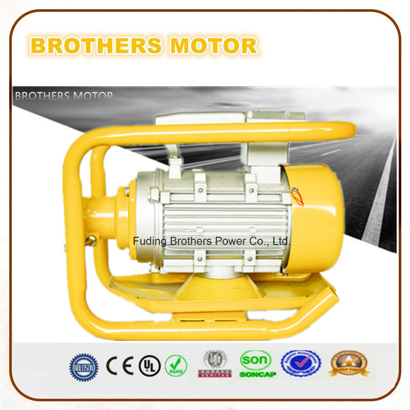110V 220V Single Phase Electric Vibration Motor