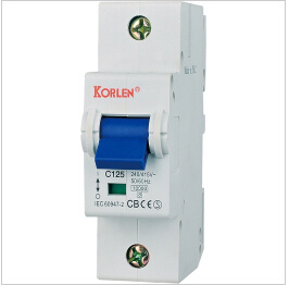 Supply High Quality 125A Mini Circuit Breaker