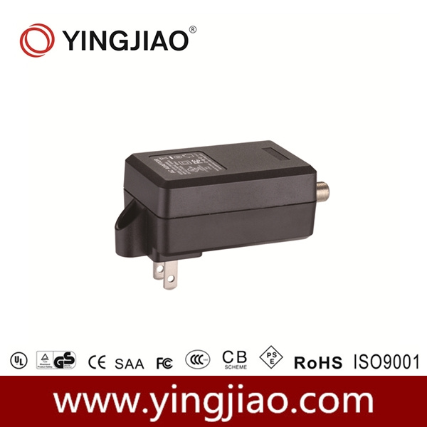 18W DC Power Adaptor for CATV
