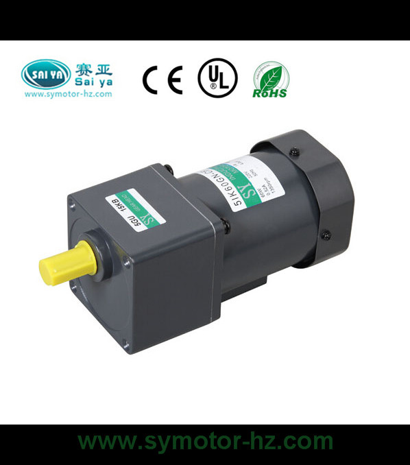 90mm 60W AC Induction Motor for Machinery