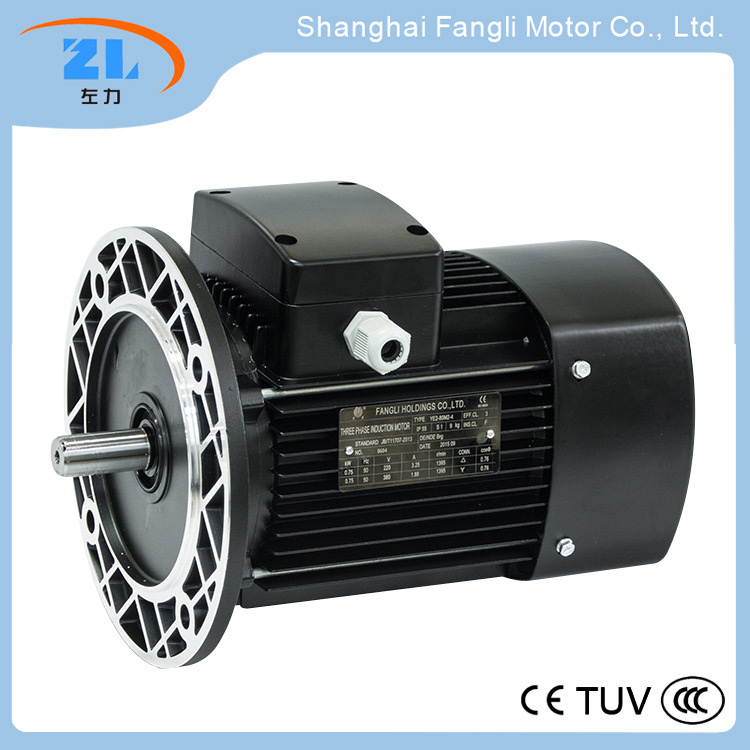 Ys8022 Ys Series Aluminium- Housing Three Phase Asynchronous Motor