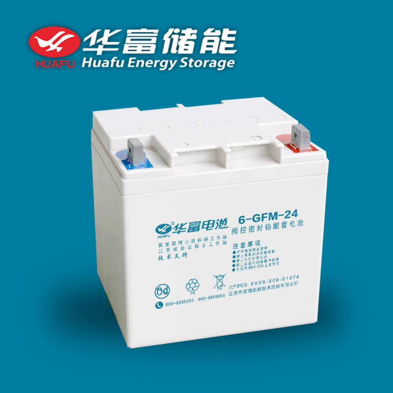 12V 24ah Maintenance-Free UPS Battery