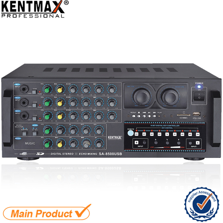 Professional Power 120W Amplifier