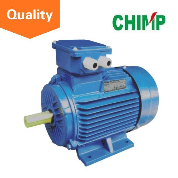Multi-Speed Asynchronous Automatic Electric Motor