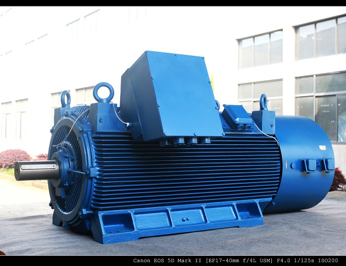 Yvfz 3 Phase Squirrel Cage Induction Motor