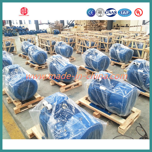 Y, Y2 Series Low Voltage AC Induction Motor