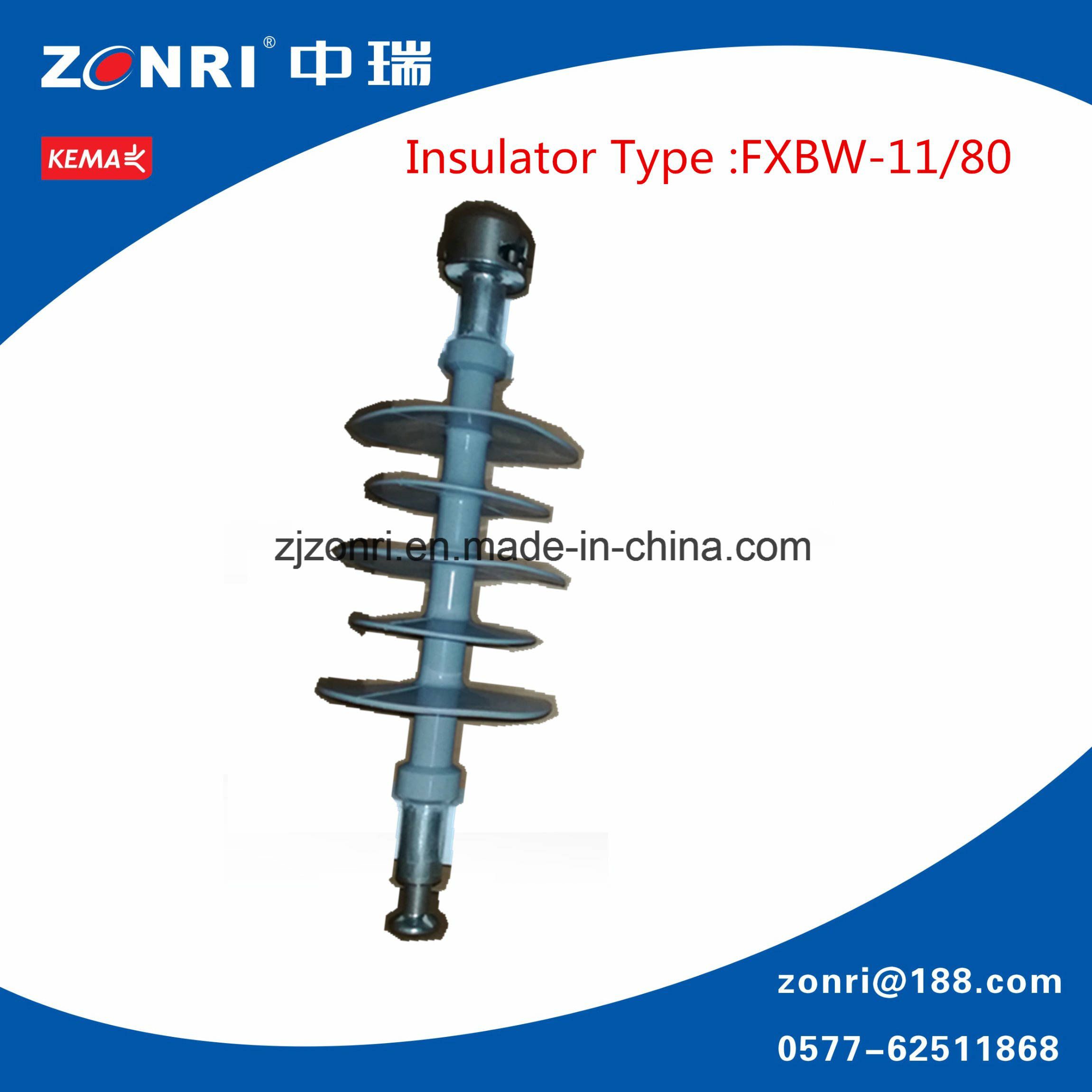 Fxbw-11-80 Polymer Insulator for Power Transmission