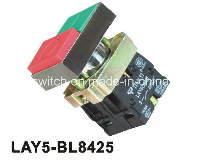Lay5-Bl8425 Doulbe Without Pliot Light Push Button Switch