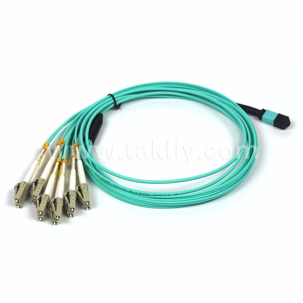 MPO 12cores Om3 Optic Fiber Patch Cord/Patch Lead/Fiber Patch Cord