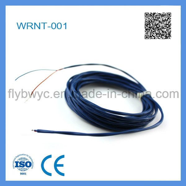 Wrnt-001 Exposed Bead K Type Thermocouple