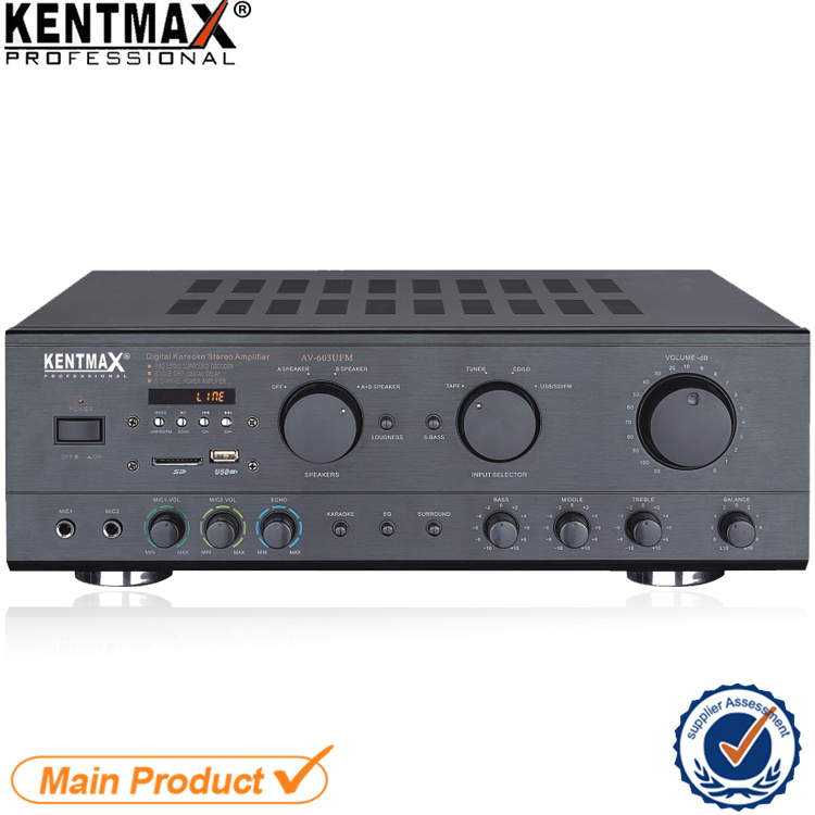 Professional Power 100W Guitar Amplifier Ufm