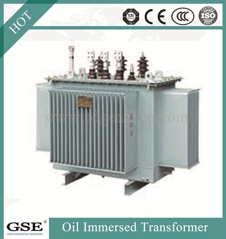 High Voltage Three-Phase Two Winding 10kv Oil Immersed Power Transformers