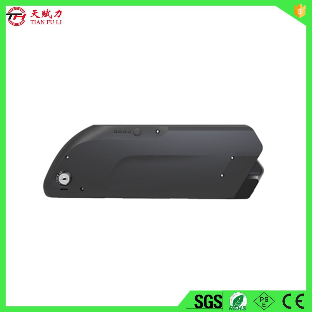 Deep Cycle 48V8.8ah E-Bike Battery with Charger