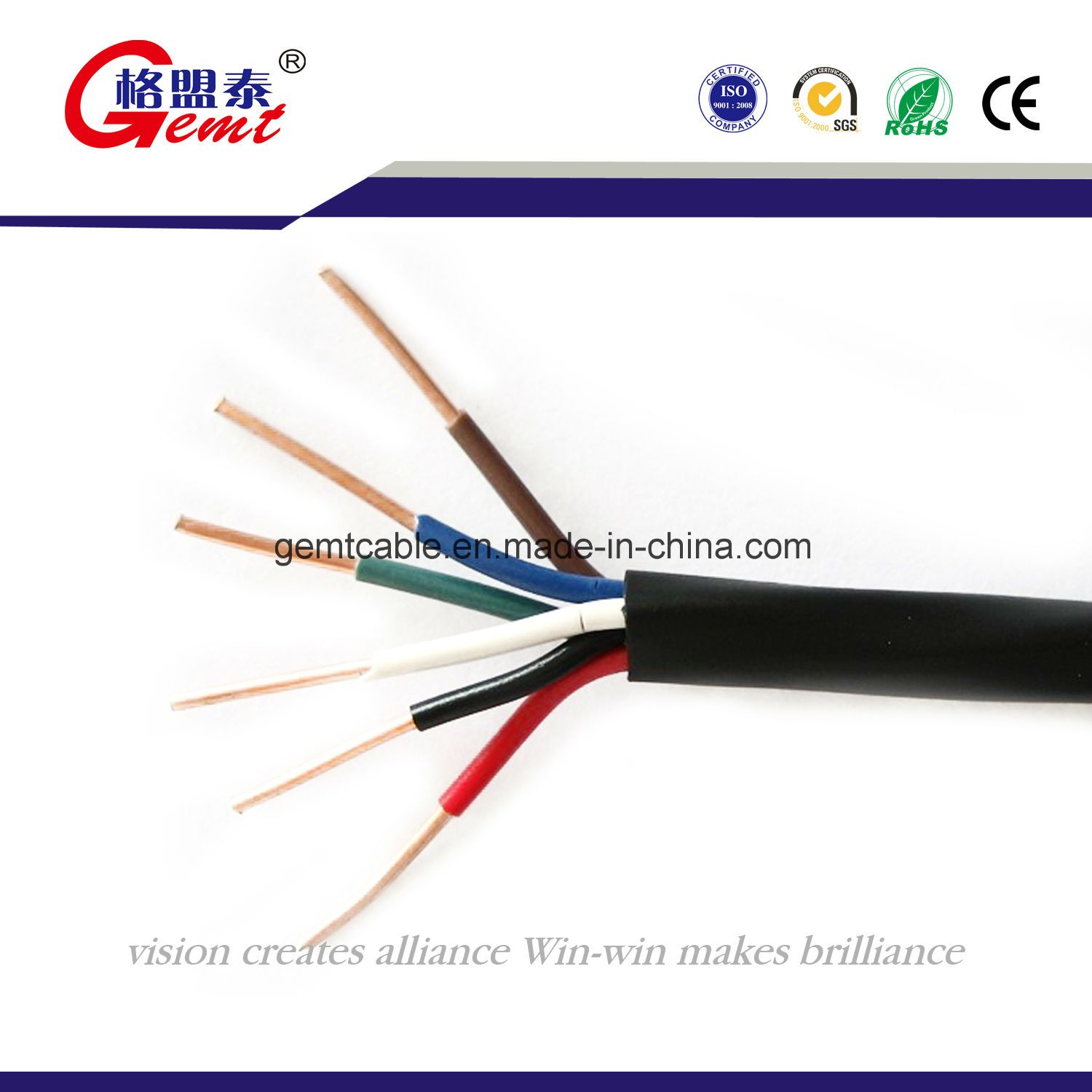 Double PVC Insulation Single Cord Cable (BVV)