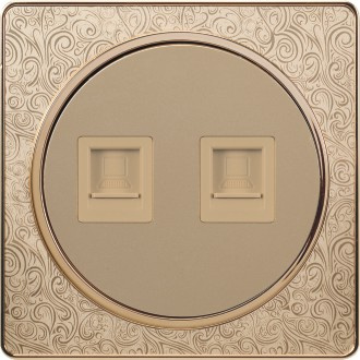 Pattern Design British Standard Two Gang Internet/Telephone Socket Flat