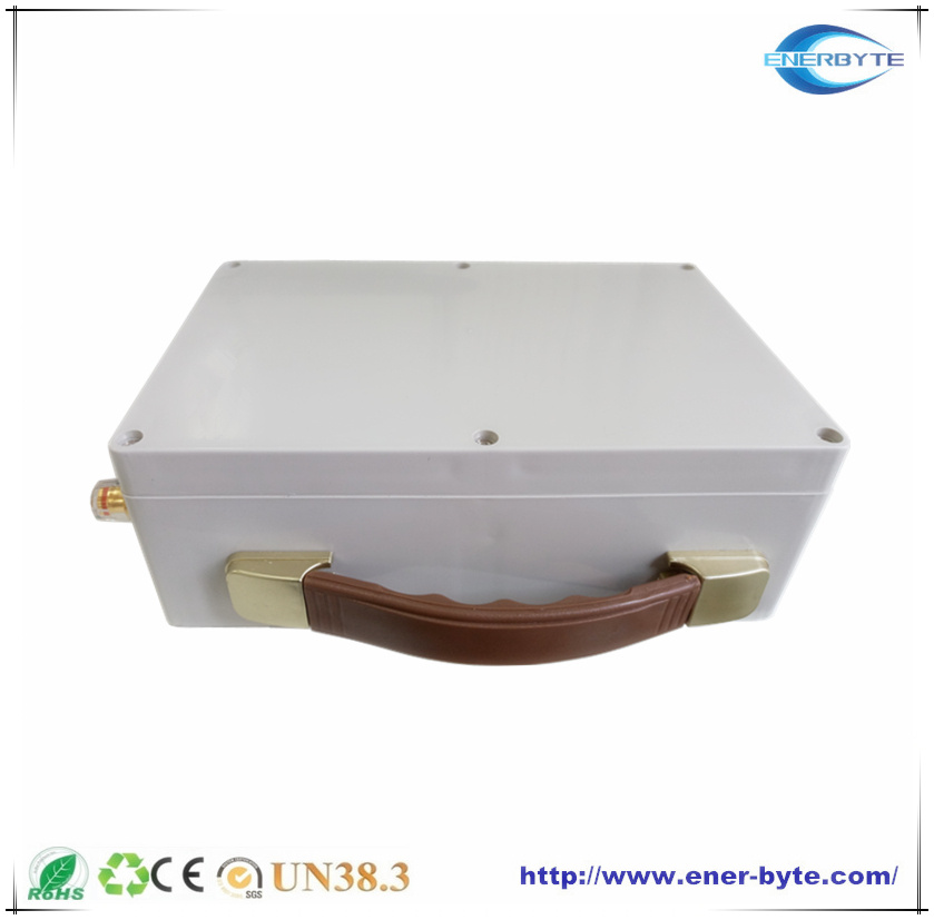 LiFePO4 Battery Pack for Energy Storage 12V 40ah