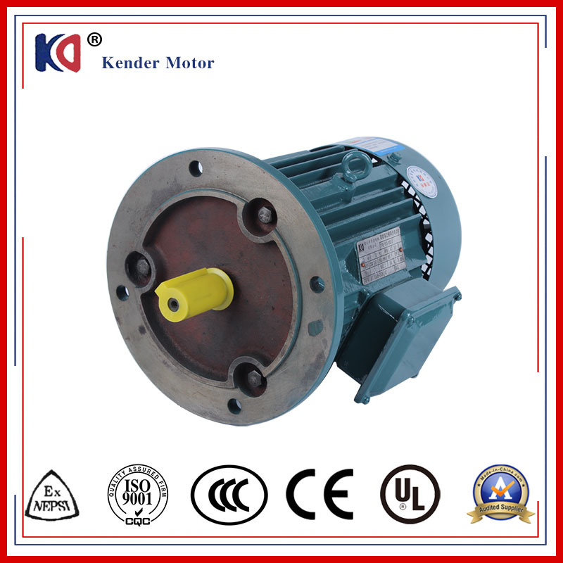 Energy Saving Vertical Yx3 AC Asynchronous Electric Motor