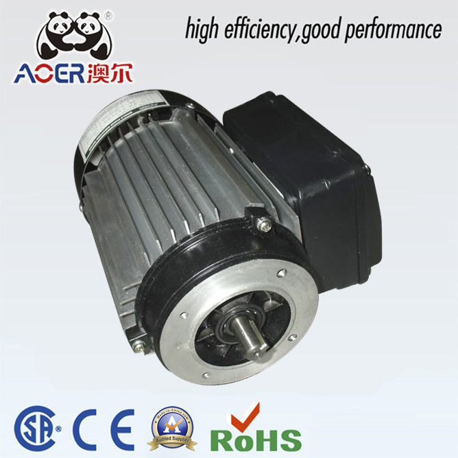 2 Pole Induction Electric 110V/220V AC Motor