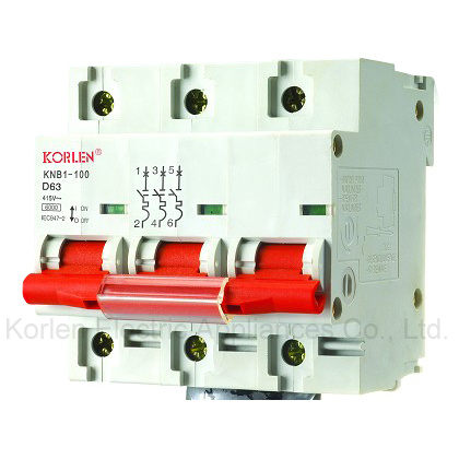 High Quality Mini Circuit Breaker Knb1-100 (NC-100-3P)
