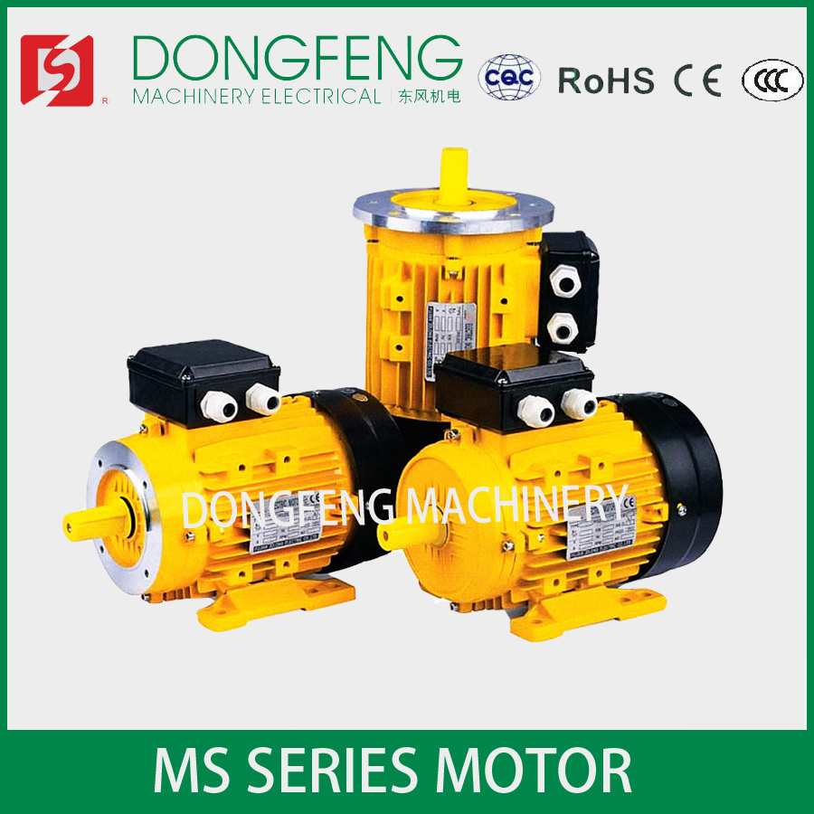 Hot Sale Ms Series Electrical Motor with B5 Mounting