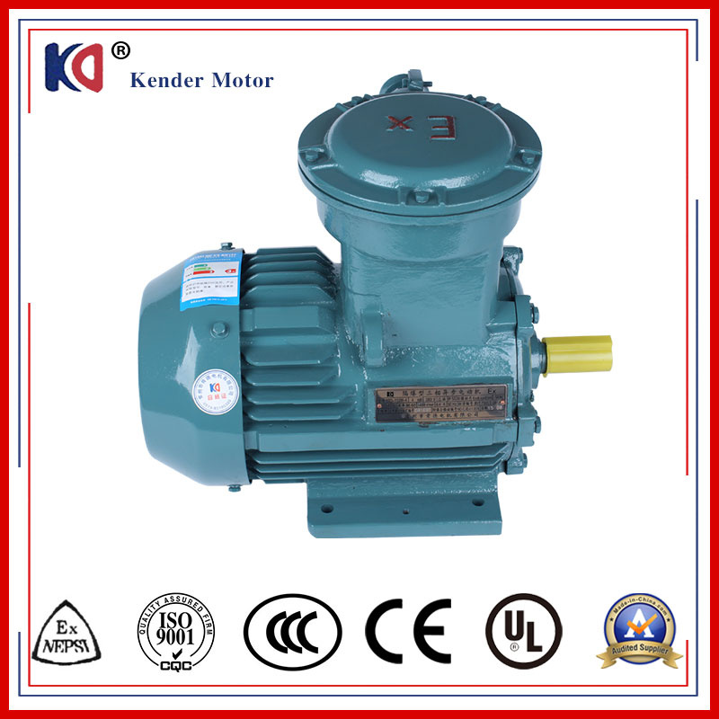 Industrial AC Ex-Proof Induction Electric Motor