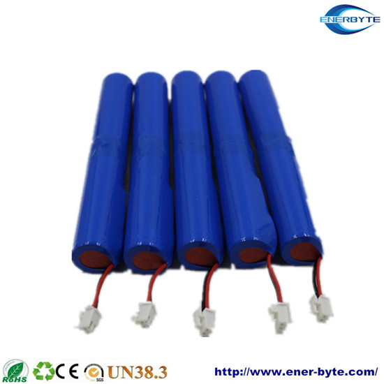 Customerized Lithium and LiFePO4 Battery Packs