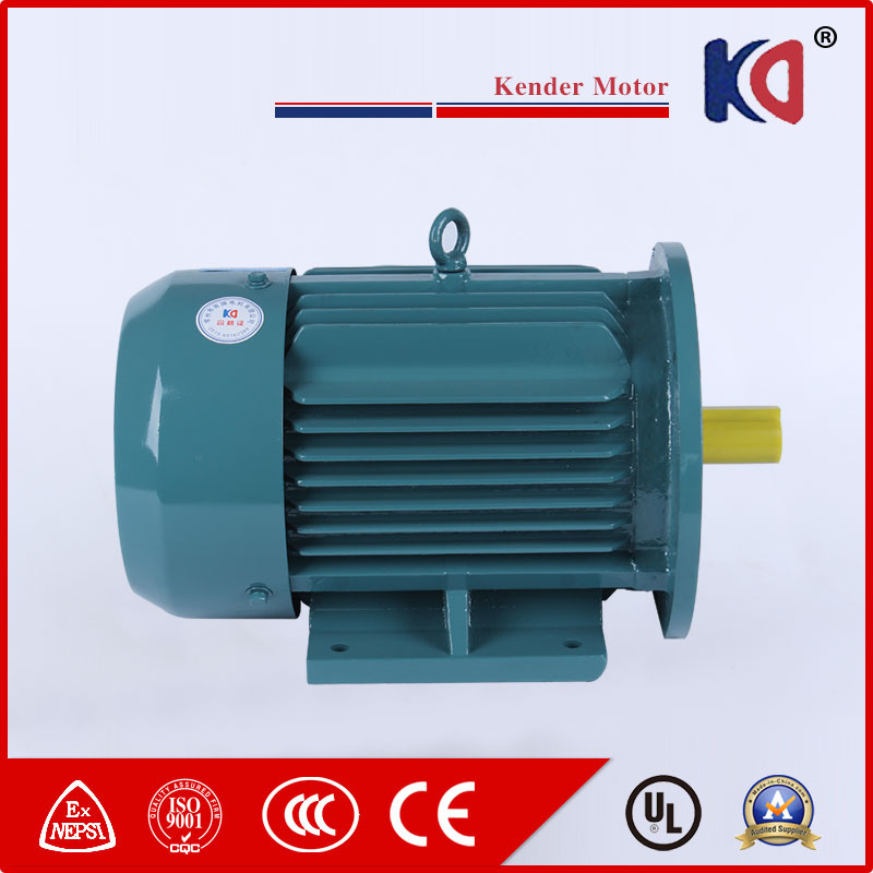 Three Phase AC Electric Induction Motor for Hot Sale
