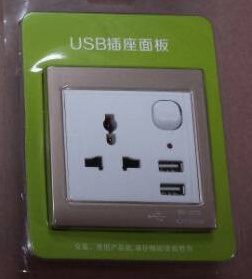 Universal Dual USB Wall Socket