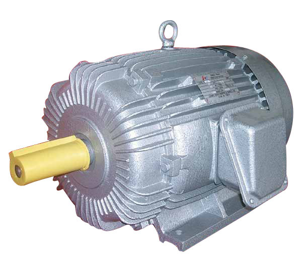 YO2 Three-Phase Induction Motor (YAEEF 160L-4)