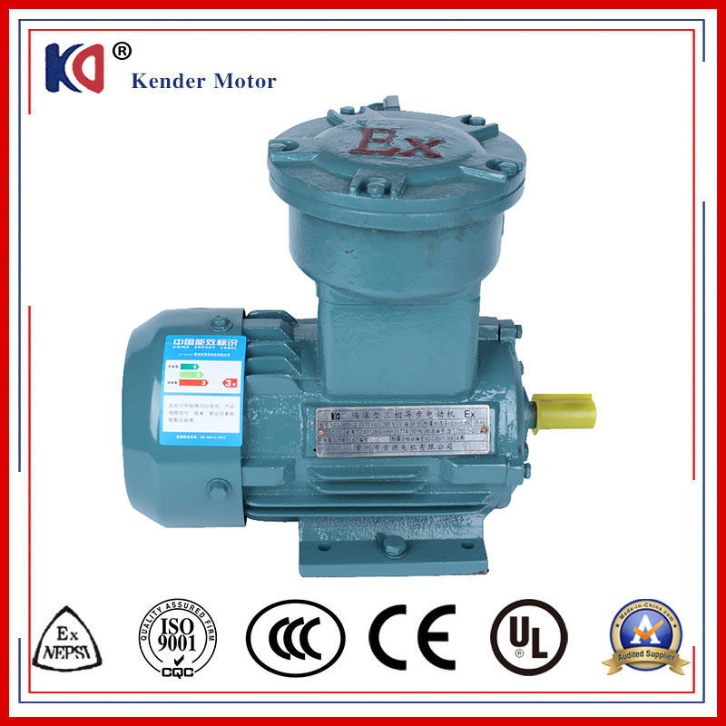 Yb3 Ex-Proof AC Induction Motor with Atex&Ice