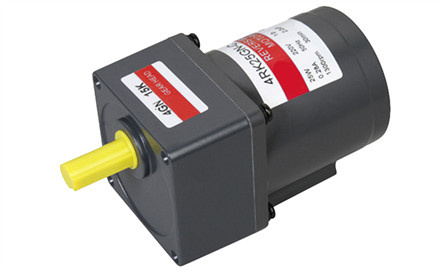 8080 25W Reversible Motor AC Motor Gear Motor